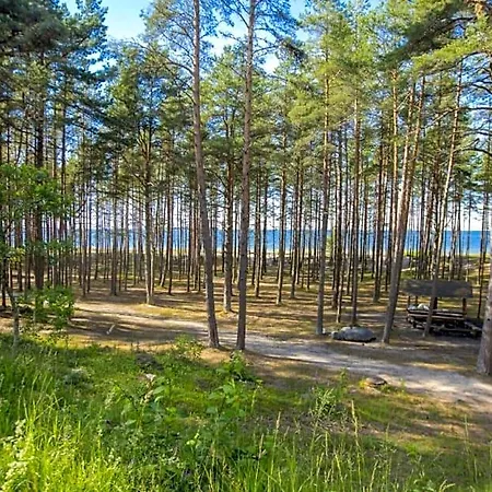 Puhkekeskus Rand- Simple Lodge